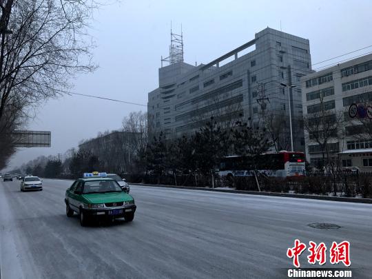 图为西宁灰蒙蒙的天空飘起了雪花，不一会儿就把房顶、行道树、马路铺上了一层银装。　孙睿 摄