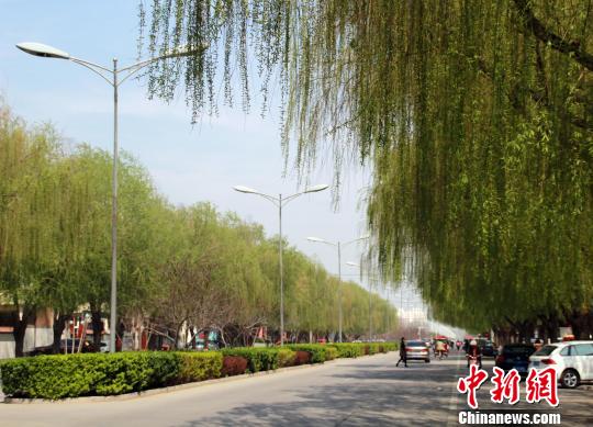 4月2日,安新县城内,人们生产生活秩序井然、祥和。图为安新县永安大街街景。 于俊亮 摄