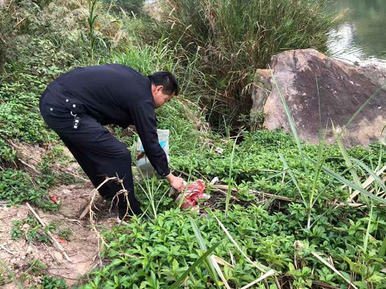 泉州最美河道专管员专题吴丁财尽心守护水环境河沟旧貌换新颜