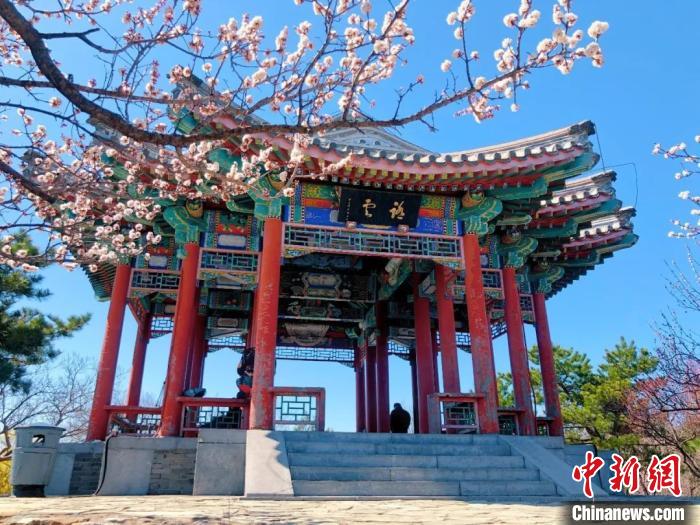 清明假期北京市属公园将开展六大板块40项春游活动