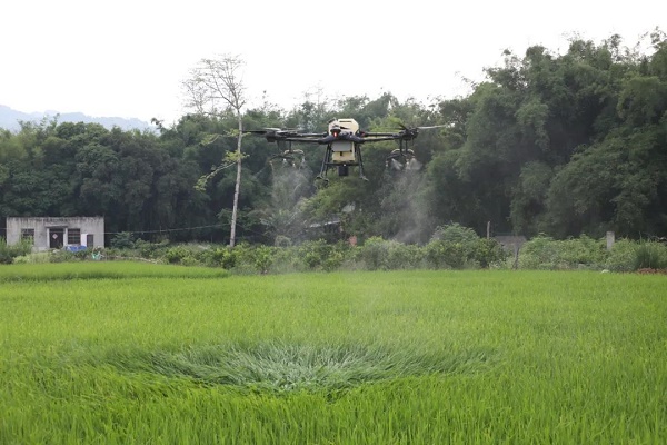 白沙：无人机“上岗”治理耕地污染 高科技“一键”破解群众难题