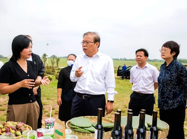 杨晓和：推进一二三产融合走绿色发展之路，提升儋州洋浦产业经济创新力竞争力