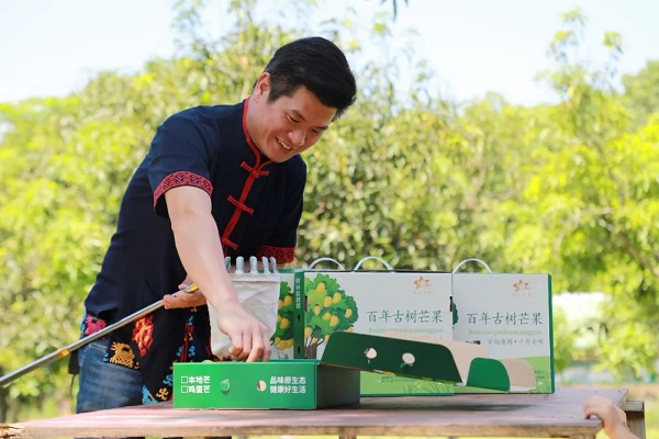 昌江：青年返乡创业就业 为乡村振兴增添活力