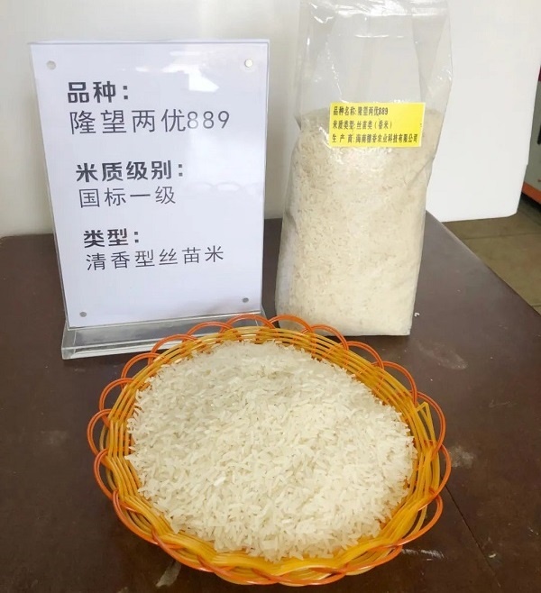 万宁试验推广水稻品种“隆望两优889”获海南省第四届“海南好米”金奖