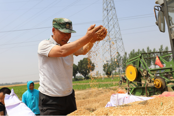 衡水市武强县全力服务“三夏”确保24.9万亩小麦颗粒归仓
