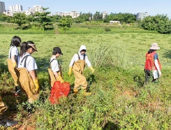 海口秀英区开展“参与六水共治，共建绿色秀英”主题活动