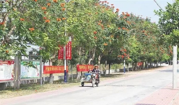 东方市四更镇：打造海南西南部中心城市后花园