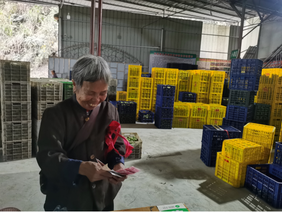 世界银行结果导向型贷款结出龙胜“致富果”