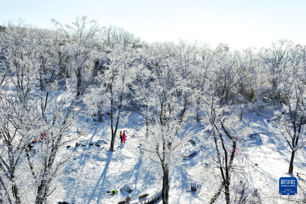 吉林：“冬闲”变“冬忙” “冰雪经济”拓宽致富路