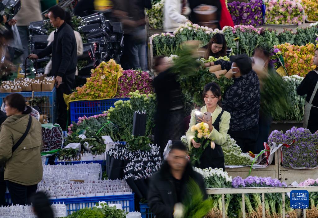 跟着主播逛花都