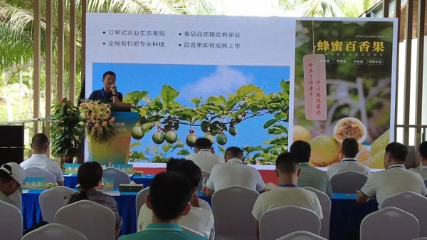 保亭举办首届百香果产业论坛 促进百香果产业高质量发展