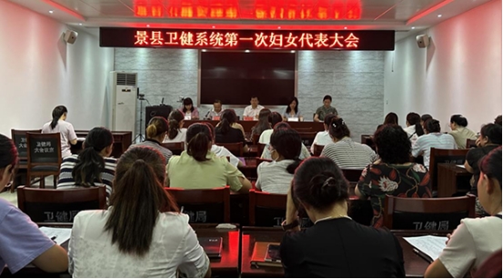 衡水市首个卫生健康系统妇联在景县成立