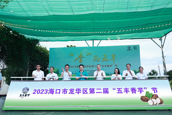 2023海口市龙华区第二届“五丰香芋”节举办
