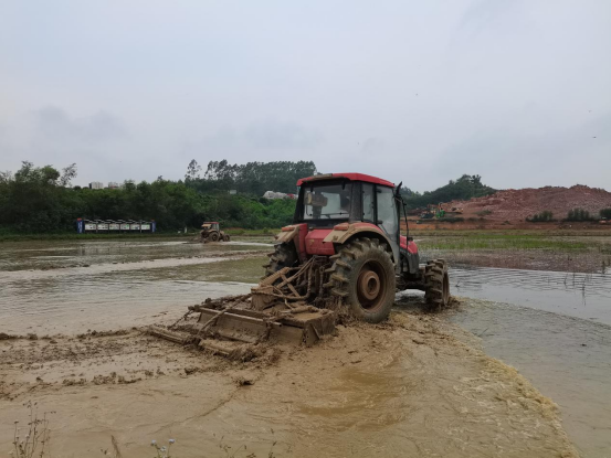 南宁市青秀区：机械化种植助力水稻增产增收