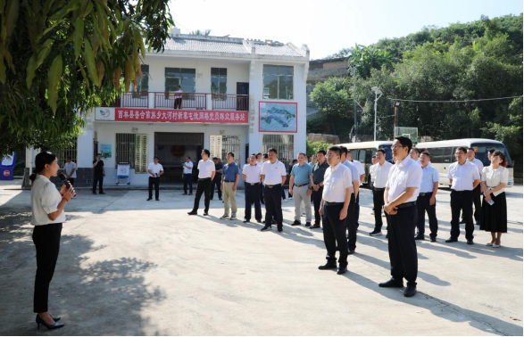 百色市乡村治理暨“三微五创”网格化服务管理现场推进会在西林县召开