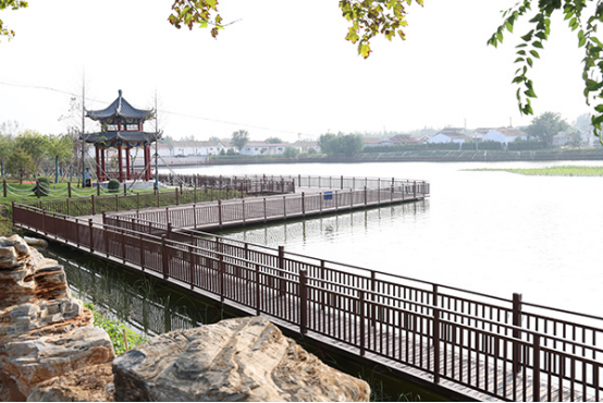 衡水故城：35 处公园游园让居民尽享绿意生活