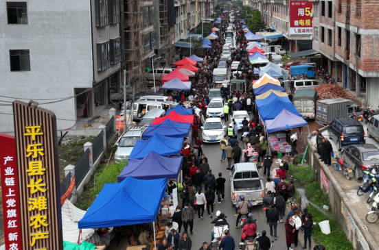 桂林平乐县“二月二”：百年农具节，万人赶集忙