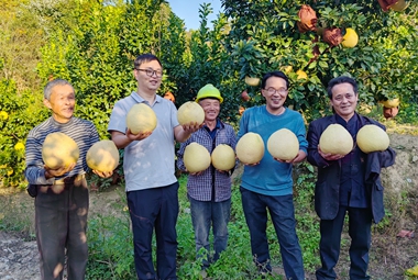  Figure 3: The scene of the harvest of Majiayou made the farmers of Jigongshan Specialized Cooperative of Planting and Breeding in Guangfeng District, Shangrao City smile _ copy _ copy. jpg