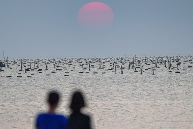 《日落》2023年5月1日，广东湛江市海边人们正在观赏日落。_副本_副本.jpg