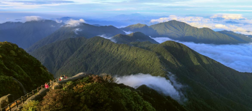 守护绿水青山 筑牢祖国南方重要生态安全屏障