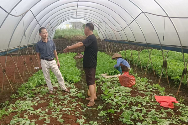 全力保障台风期间“菜篮子”量足价稳