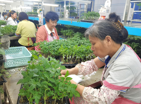 聚焦富民产业，探索高质量现代农业的发展之路