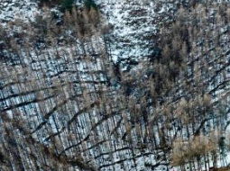 宁夏固原:冬日六盘山