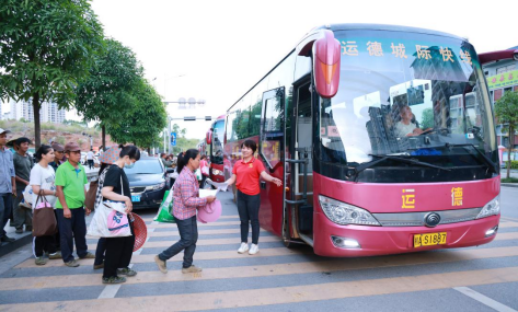 南宁市开云体育网址隆安县：培育壮大地方特色产业 推动县域经济发展驶入“快车道”(图4)